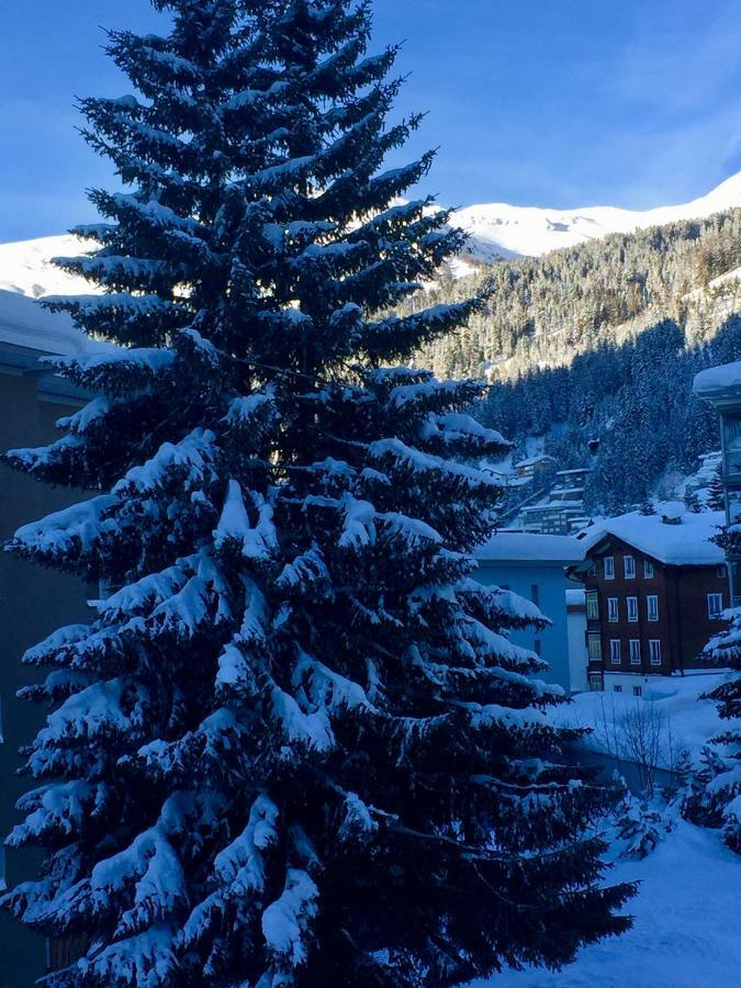 Studio Riedwiese Davos Exterior photo